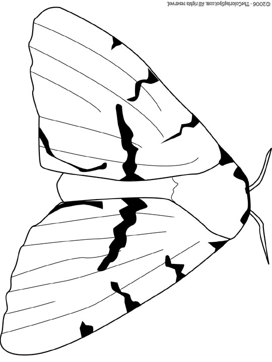 540x720 Gypsy Moth Audio Stories For Kids Free Coloring Pages