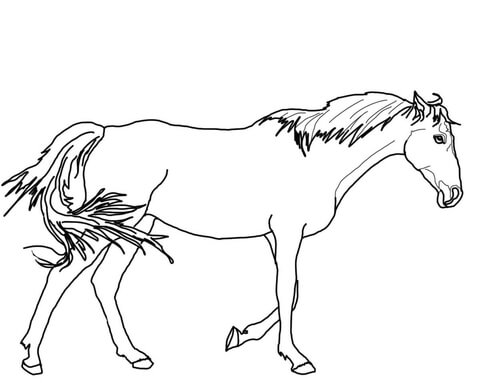 480x383 Horse And Kids Coloring Page
