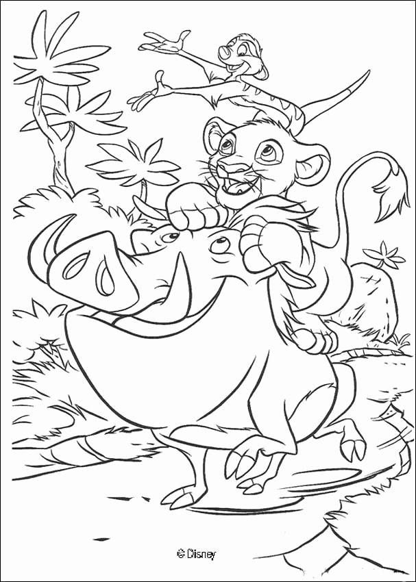 607x850 Simba Coloring Pages Timon Singing To Simba And Friends Coloring