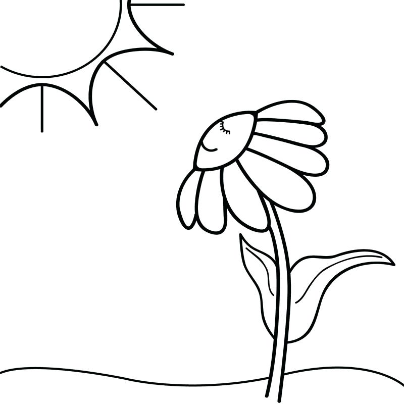 800x800 Half Moon Coloring Page Sun And Moon Coloring Pages For Adults