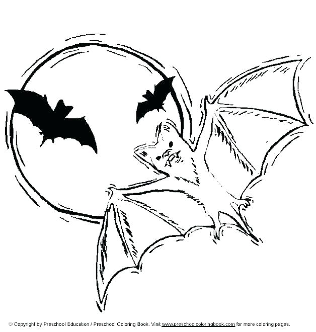 628x660 Halloween Bats Coloring Pages Coloring Pages Bats Bat Coloring