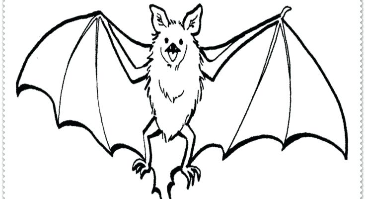 735x400 Coloring Page Ocean Sun Also Coloring Page Cartoon Bat Halloween