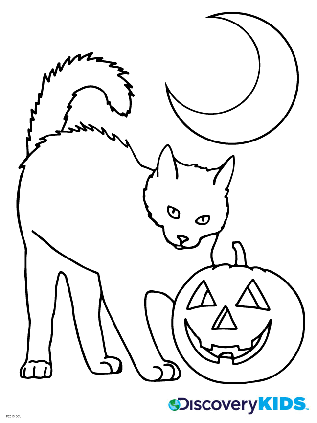 648x864 Halloween Cat Coloring Page