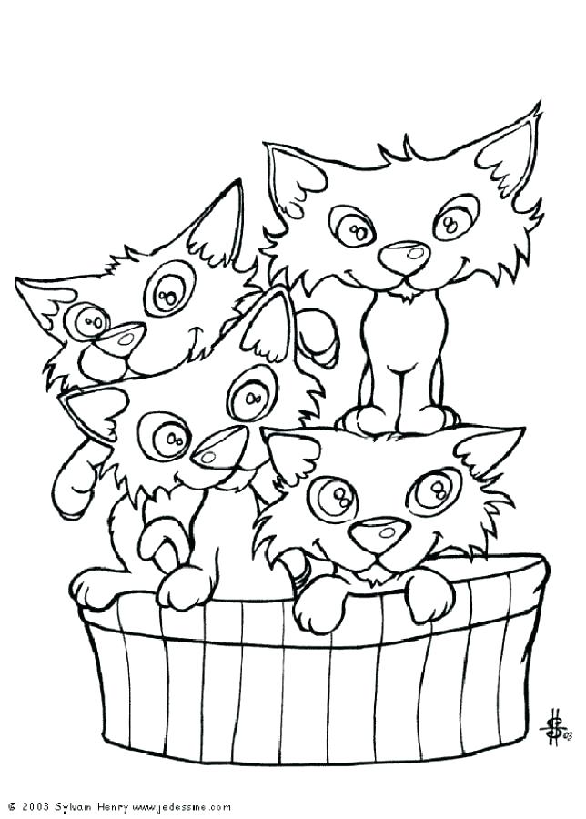 644x900 Halloween Cat Coloring Pages Cat Coloring Pages Cats Basket
