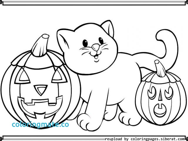 640x480 Halloween Coloring Pages Pdf