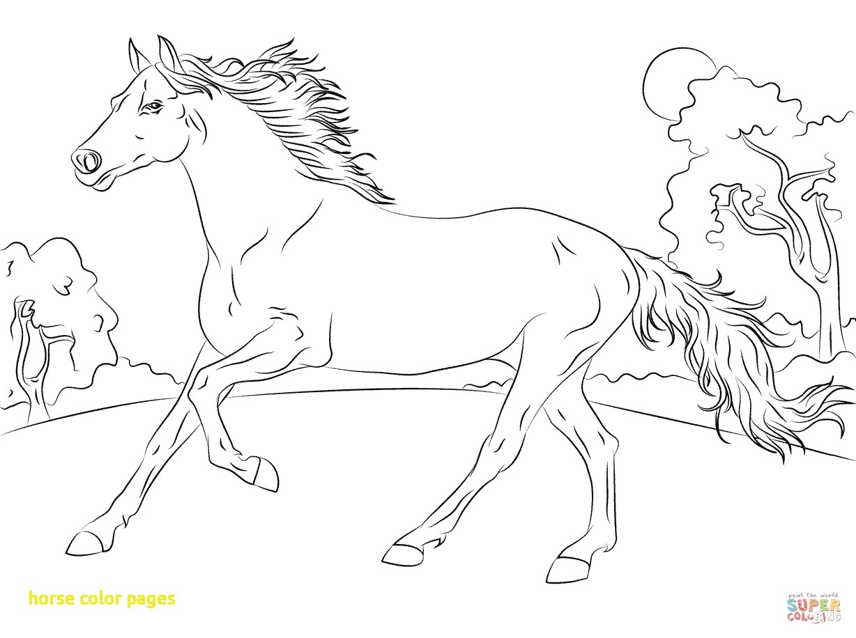 1228x916 Printable Horse Color Pages Free Coloring Pages Download