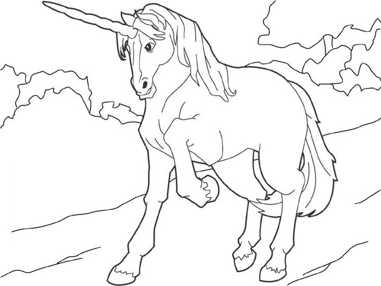 750x563 Nice Coloring Pages Of Horses For Kids Free Download
