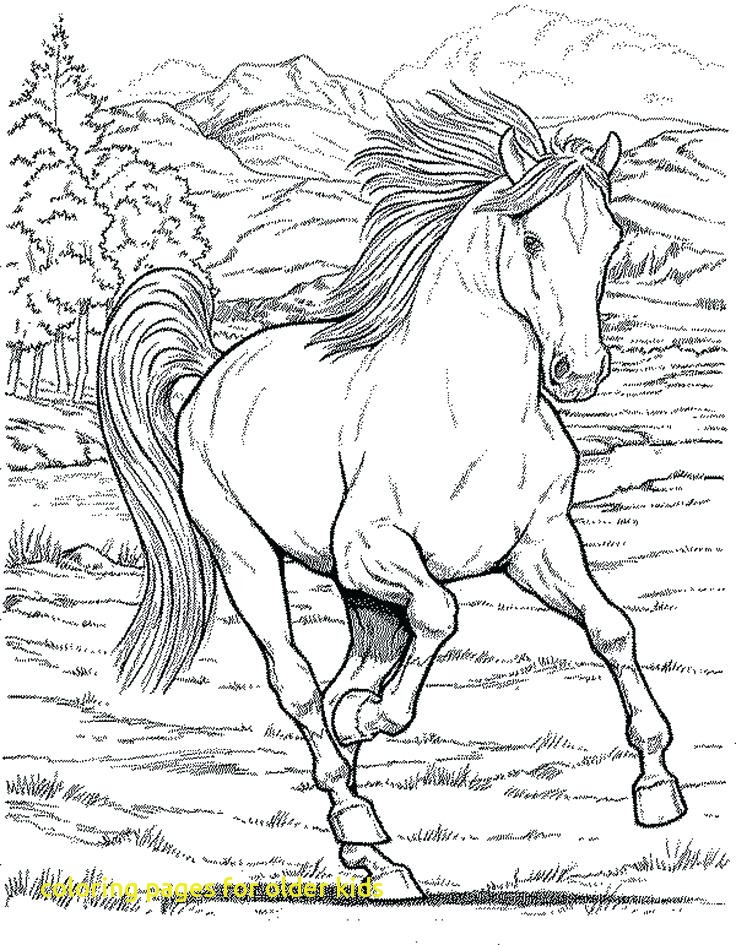 736x945 Coloring Pages For Older Kids