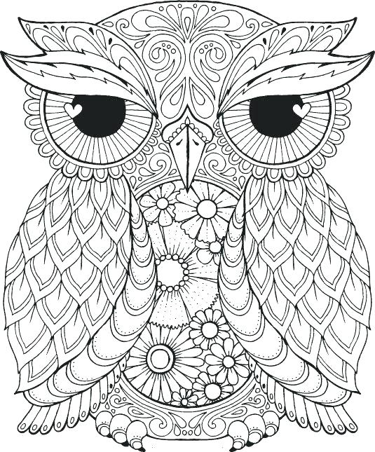 535x645 Cute Owl Coloring Page Cute Owl Coloring Pages Free Printable Owls