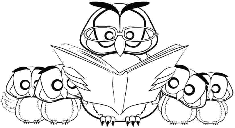 825x450 Owl Coloring Pages To Print Owl Coloring Pages Owl Coloring Pages
