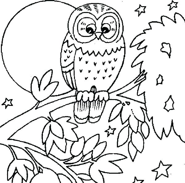 600x591 Coloring Pages Of Owls Barn Owl Coloring Page Coloring Pages Owls