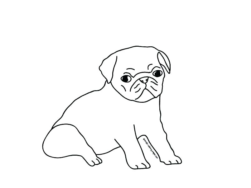 805x604 Pug Coloring Pages Printable Pug Coloring Pages Pug Puppy Coloring