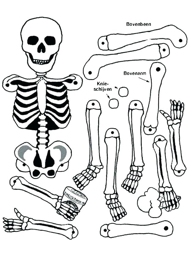 618x874 Halloween Skeleton Coloring Pages Skeleton Coloring Pages Skeleton