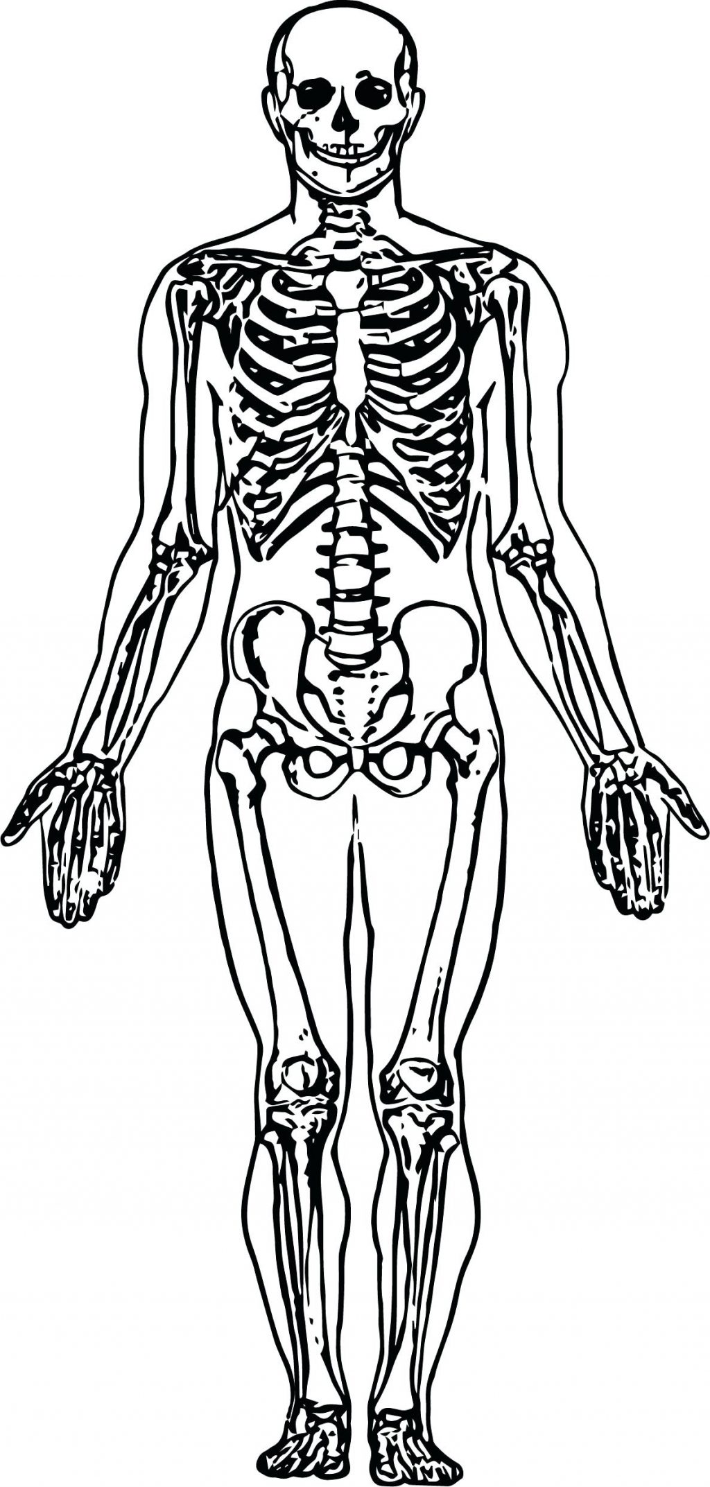1024x2145 Coloring Pages Skeleton Coloring Pages Whole Picture Sketch