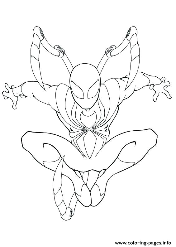 565x792 Spider Color Page Spider Web Coloring Page Printable Spider Web