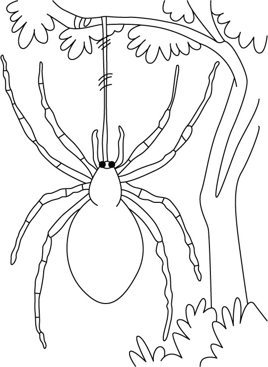 540x740 Spider Coloring Sheets For Halloween With Hanging On Tree Activity