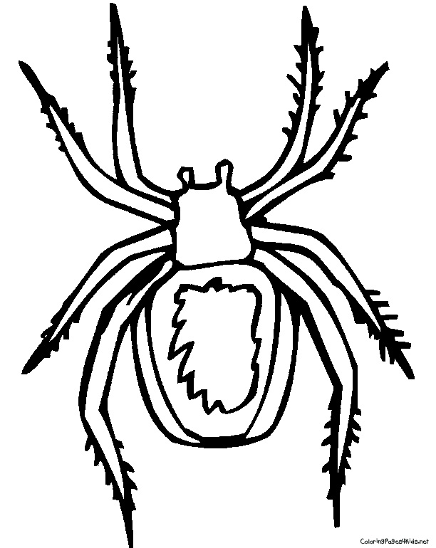 612x770 Spider Coloring Pages