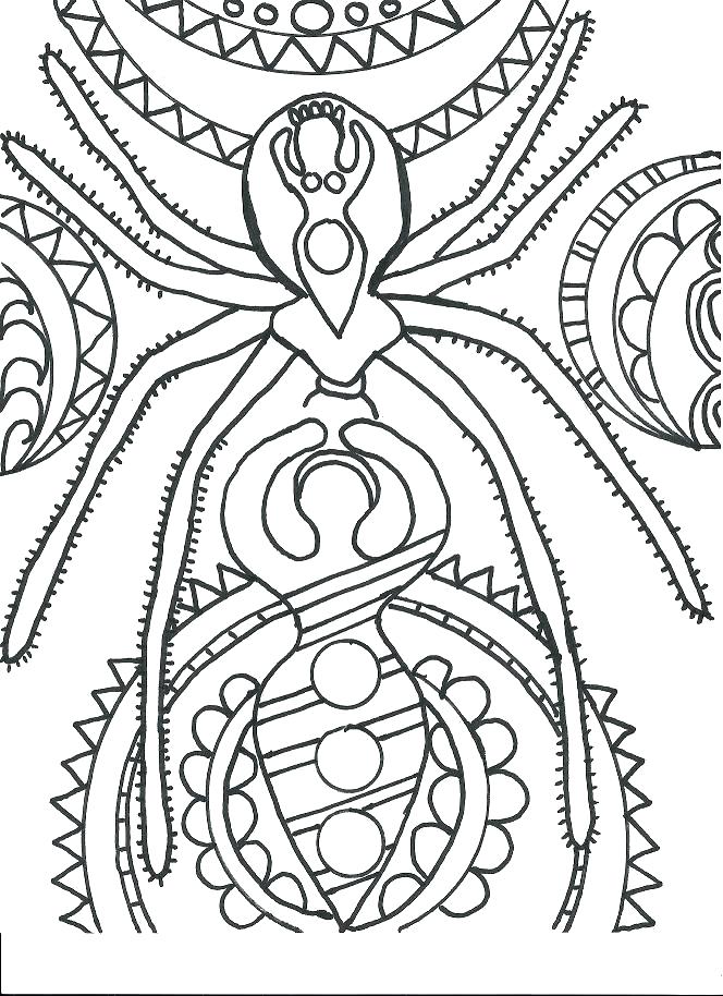 664x914 Spider Coloring Pages Spider Coloring Pages The Spider Coloring