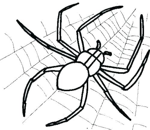 500x432 Spiders Coloring Pages Free Coloring Free Printable Halloween
