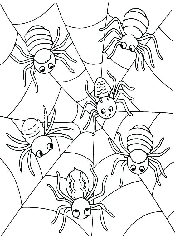 561x758 Free Printable Spider Coloring Pages For Kids Spider Coloring