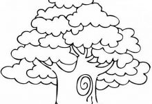 220x150 Tree Coloring Coloring Page