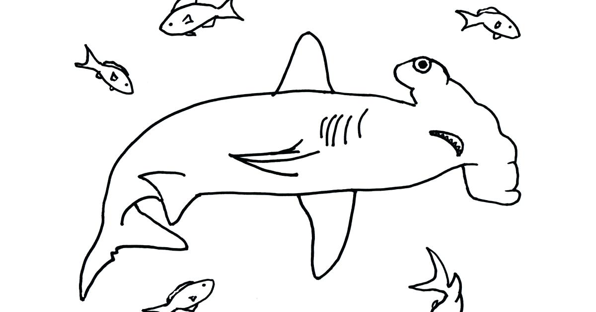 1200x630 Great White Shark Coloring Book Hammerhead Shark Coloring Pages
