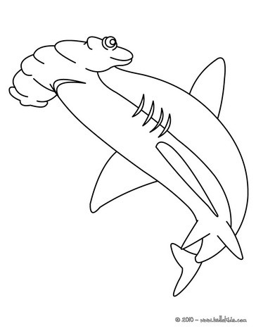 364x470 The Great Hammerhead Shark Coloring Page Let Your Imagination