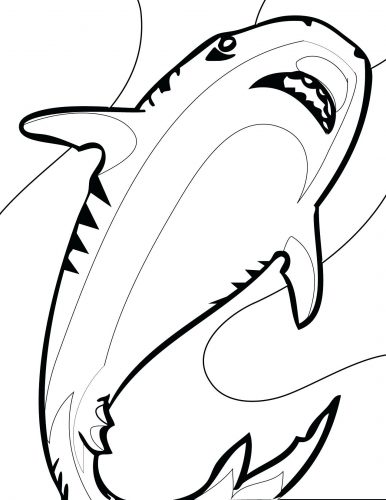 386x500 Coloring Pages Shark Coloring Pages Hammerhead Page Free