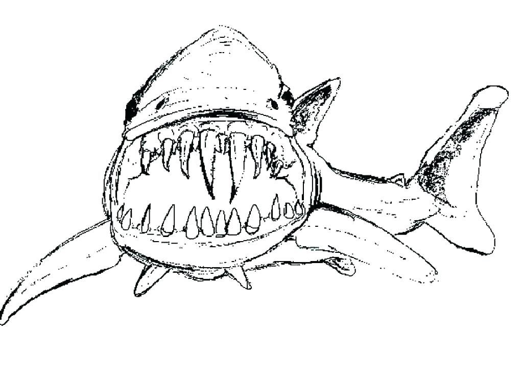1024x740 Hammerhead Shark Coloring Page