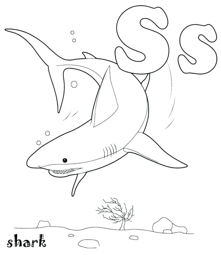 736x851 Coloring Page Of Shark S For Shark Coloring Pages Coloring Page
