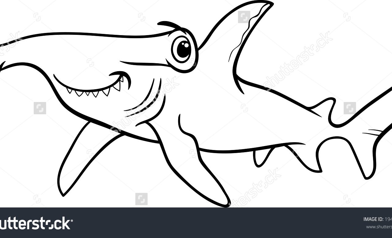 1280x779 Hammerhead Shark Drawing And Coloring Pages For Look Reals How