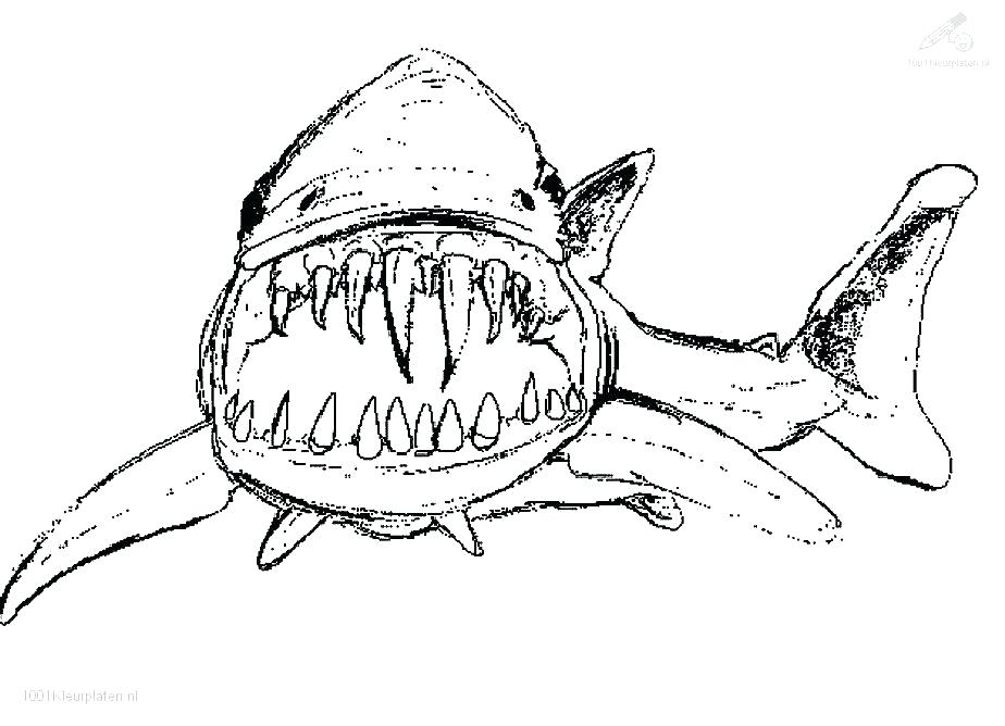 924x668 Shark Coloring Sheet Shark Coloring Page Hammerhead Shark Coloring