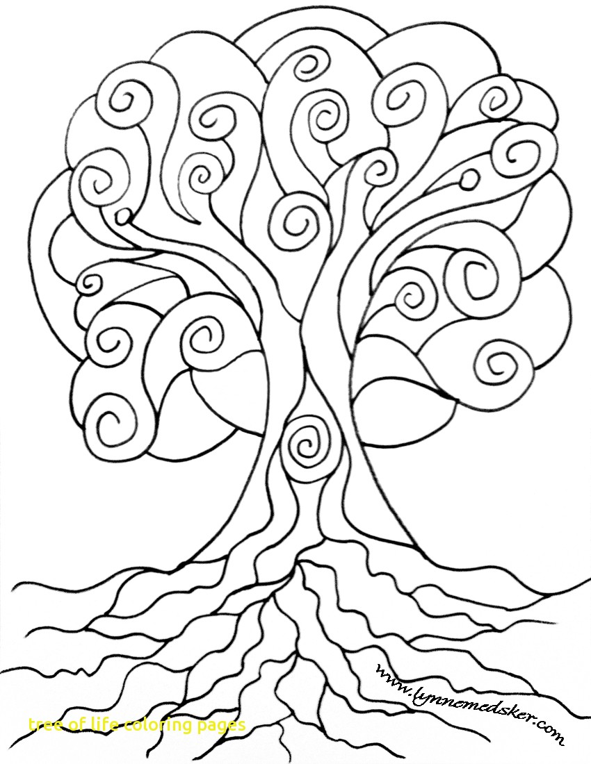 850x1100 Tree Of Life Adult Coloring Page And Pages
