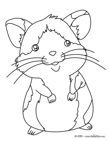364x470 Hamster Coloring Page Birthday Cakes