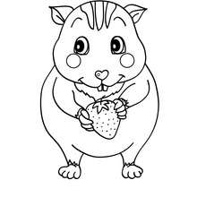 220x220 Hamster Coloring Pages