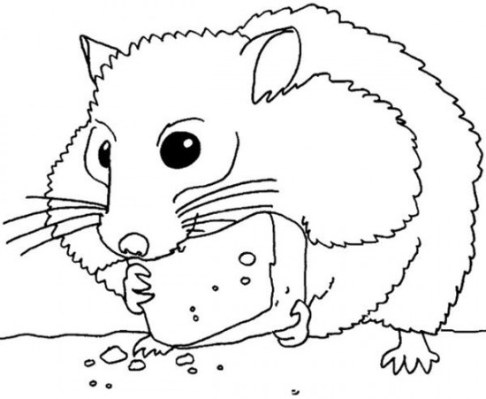 550x451 Hamster Coloring