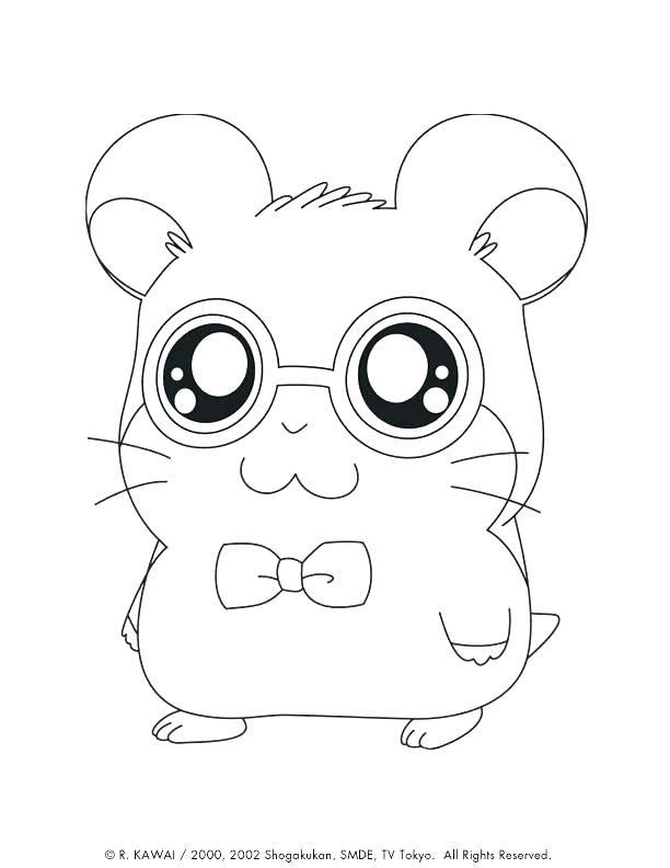 612x792 Cute Hamster Coloring Pages Coloring Cute Hamster Coloring Sheets