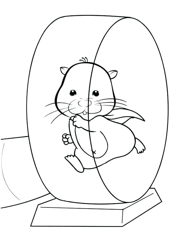 600x840 Hamster Coloring Pages To Print