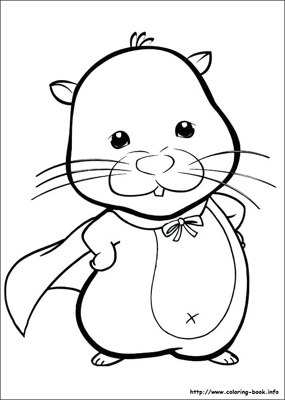 567x794 Cute Hamster Coloring Pages Printable Realistic Hamster Coloring