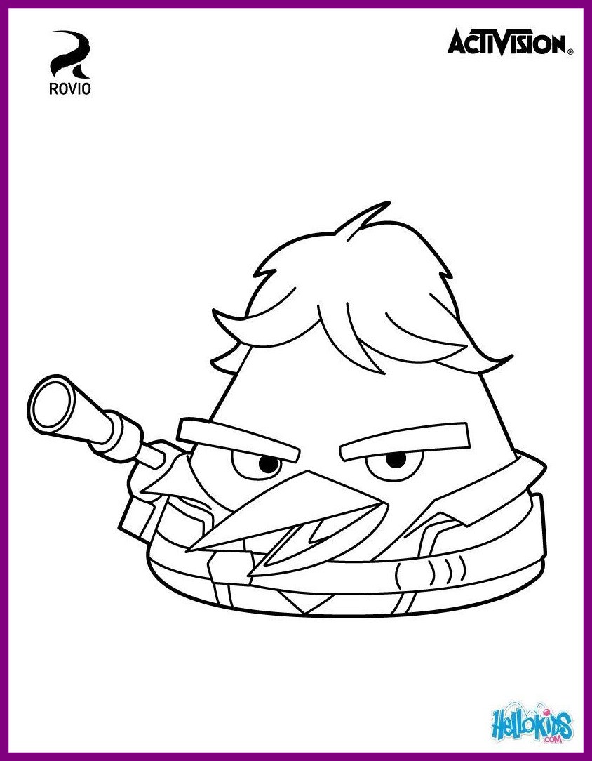 844x1084 Inspiring Han Solo Bird Is Actually Chuck In Angry Star Wars Cute