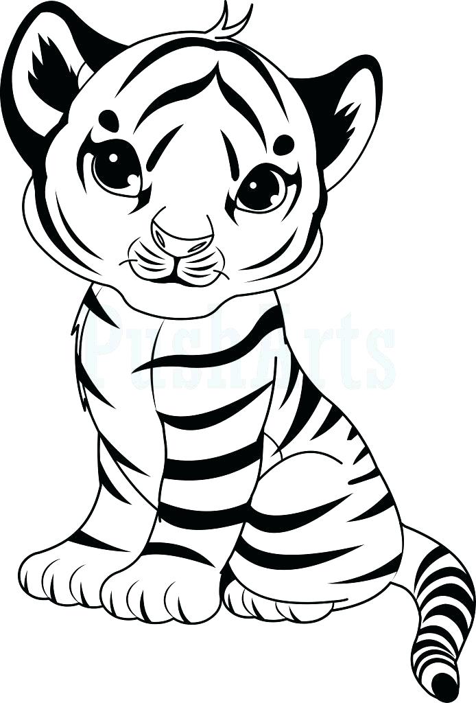 694x1024 Tiger Pictures To Color Tiger Coloring Book Pages Tiger Color