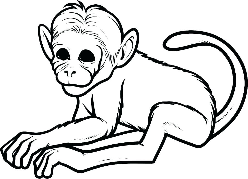1024x738 Monkeys Coloring Pages Printable Monkey Coloring Pages Monkey Face