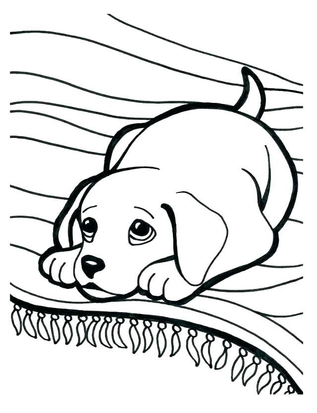 640x835 Funny Animal Coloring Pages Funny Coloring Pages Funny Animal