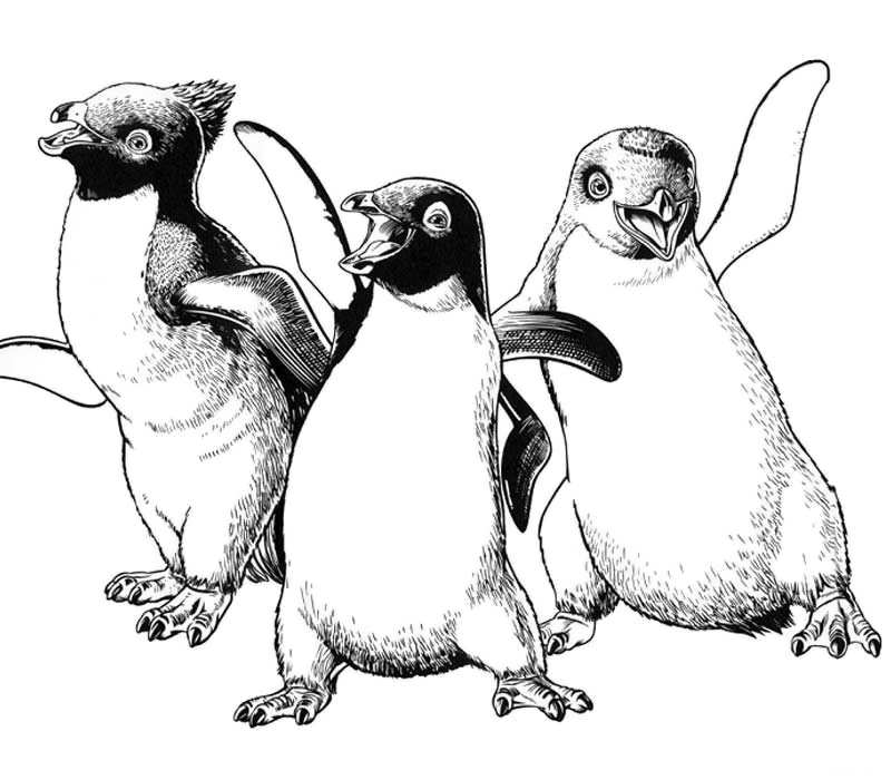 800x700 Happy Feet Coloring Pages