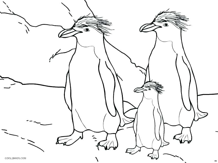 850x638 Feet Coloring Pages Coloring Pages Penguin Happy Feet Coloring