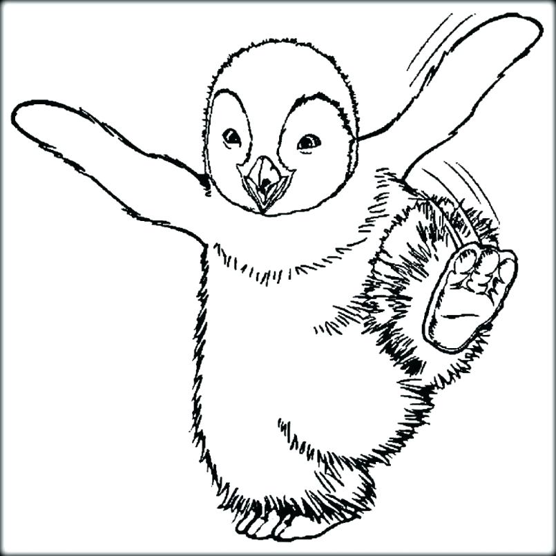 805x805 Foot Coloring Page Large Size Of Anatomy Coloring Pages