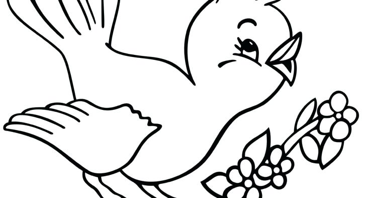 728x393 Coloring Pages Online Hard Flying Birds Falcon Bird Images