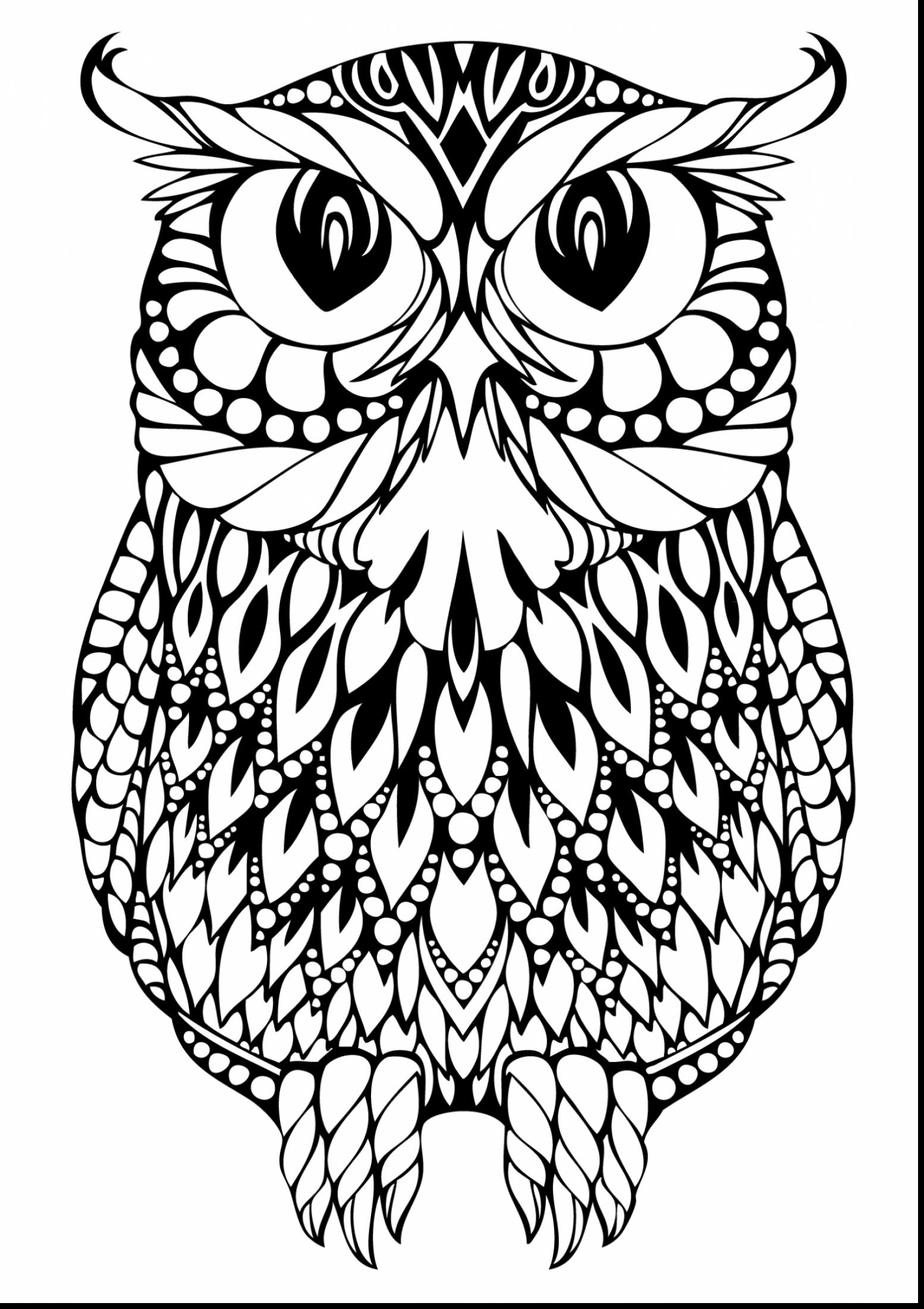 1554x2200 Fresh Astonishing Hard Owl Coloring Pages Adult With Coloring