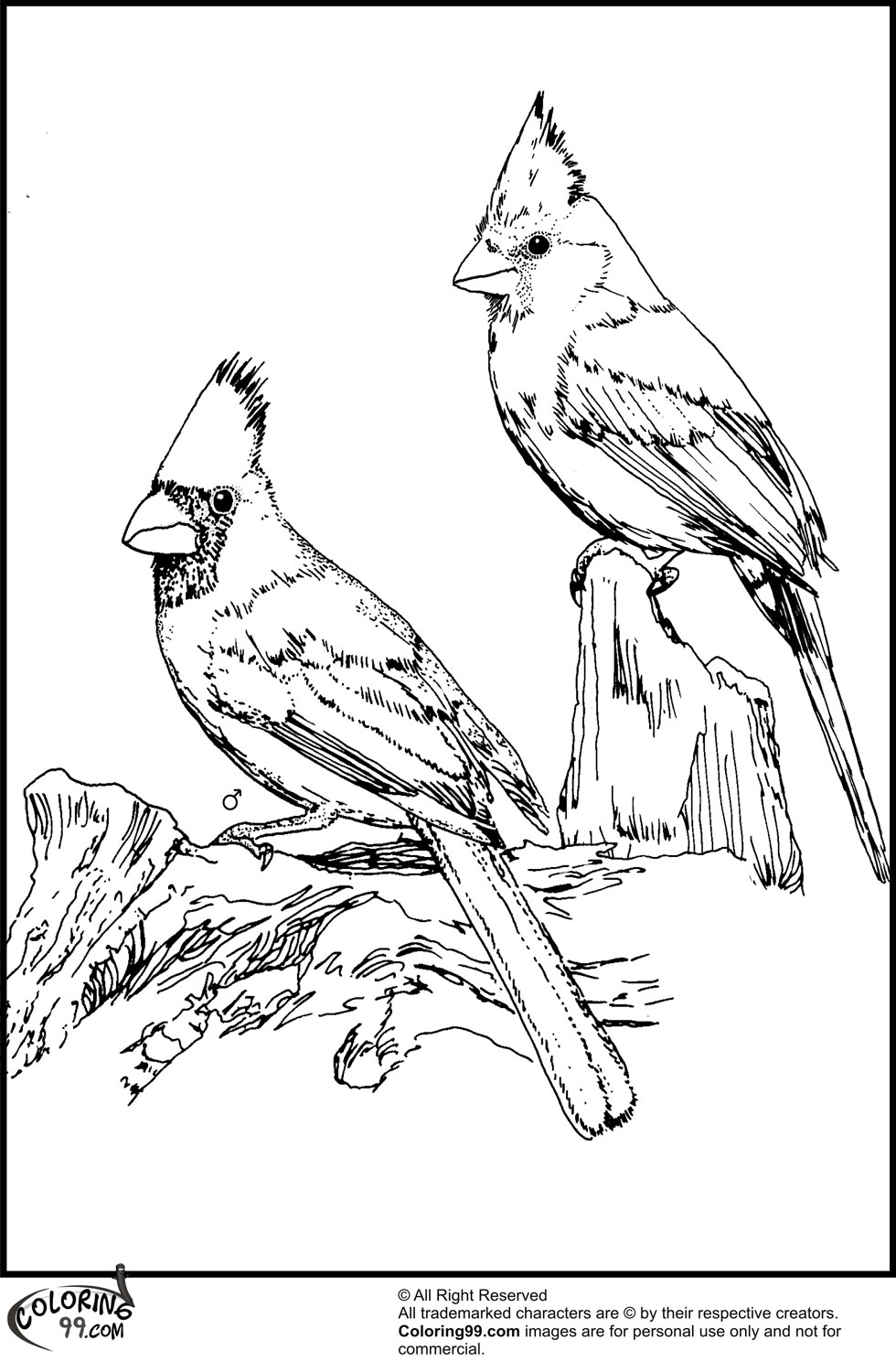 980x1500 Hard Bird Coloring Pages For Adults Enjoy Printables Throughout