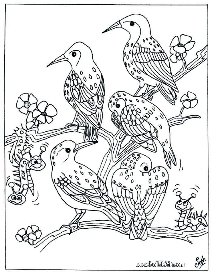 700x900 Realistic Animal Coloring Pages Realistic Animal Coloring Pages